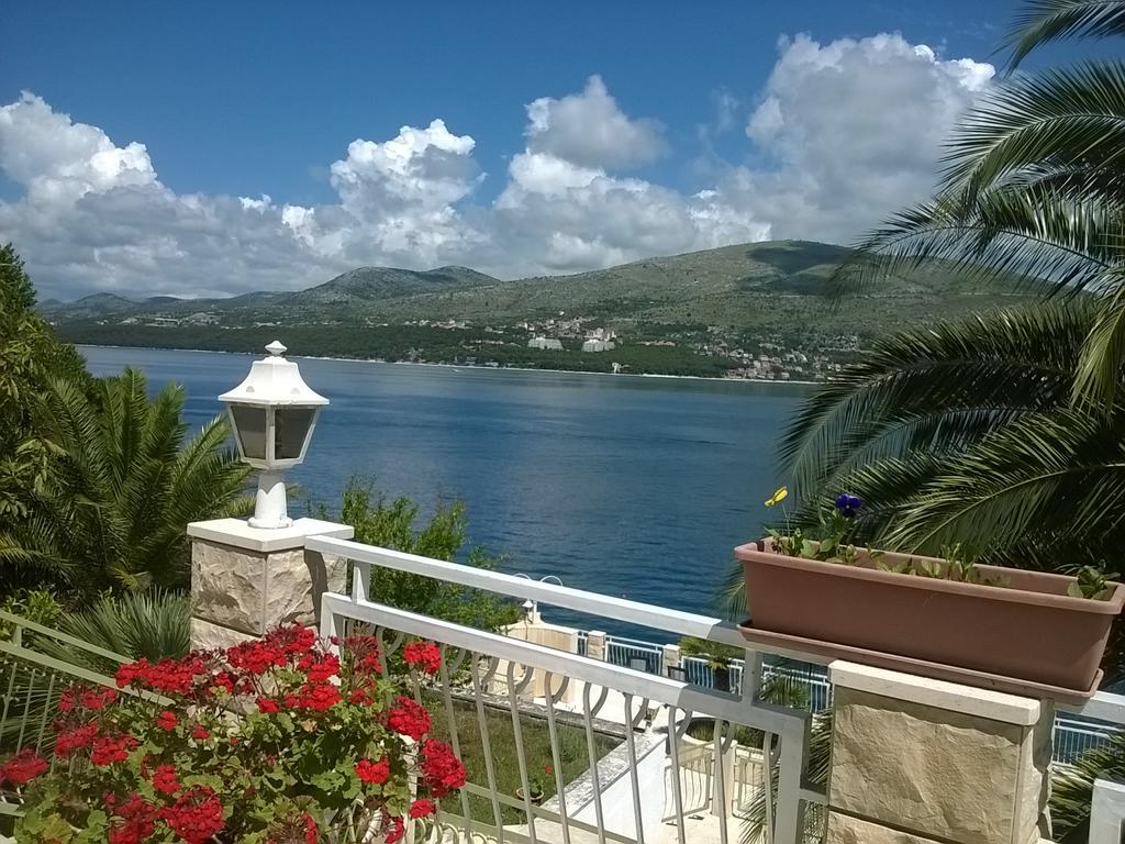Villa Corona Donji Okrug  Εξωτερικό φωτογραφία