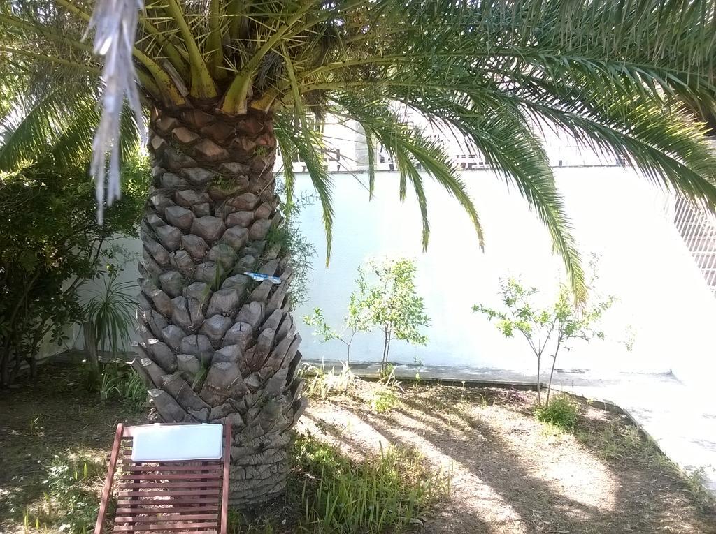 Villa Corona Donji Okrug  Εξωτερικό φωτογραφία